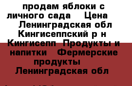 продам яблоки с личного сада  › Цена ­ 35 - Ленинградская обл., Кингисеппский р-н, Кингисепп  Продукты и напитки » Фермерские продукты   . Ленинградская обл.